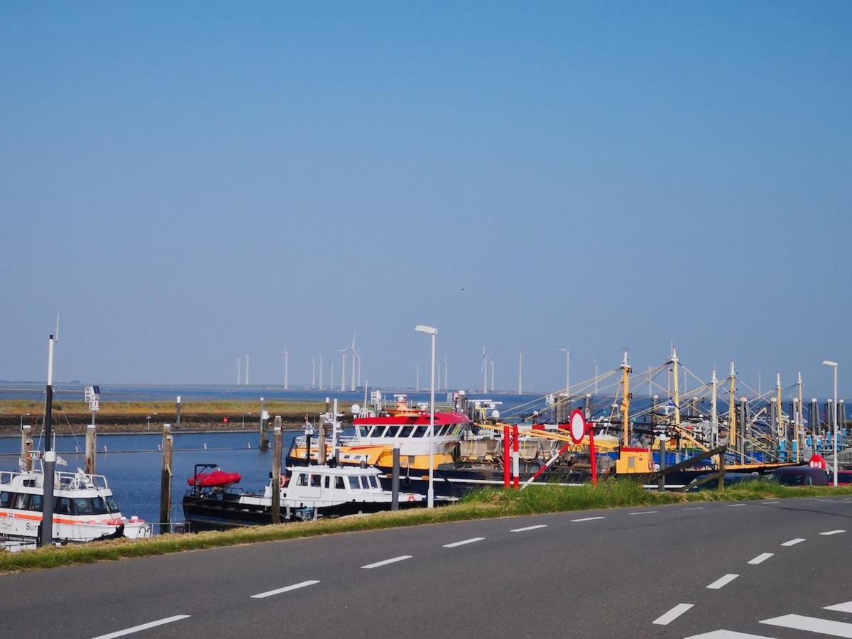 Bruinisse, Zeeland At Marina, Vp013