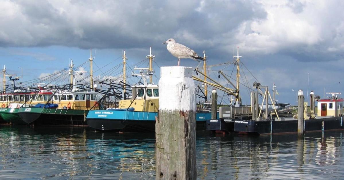 Vakantiehuis Bruinisse, Zeeland At Marina, Vp013 Bruinisse